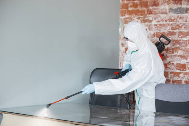 Best Emergency Mold Remediation  in Renville, MN